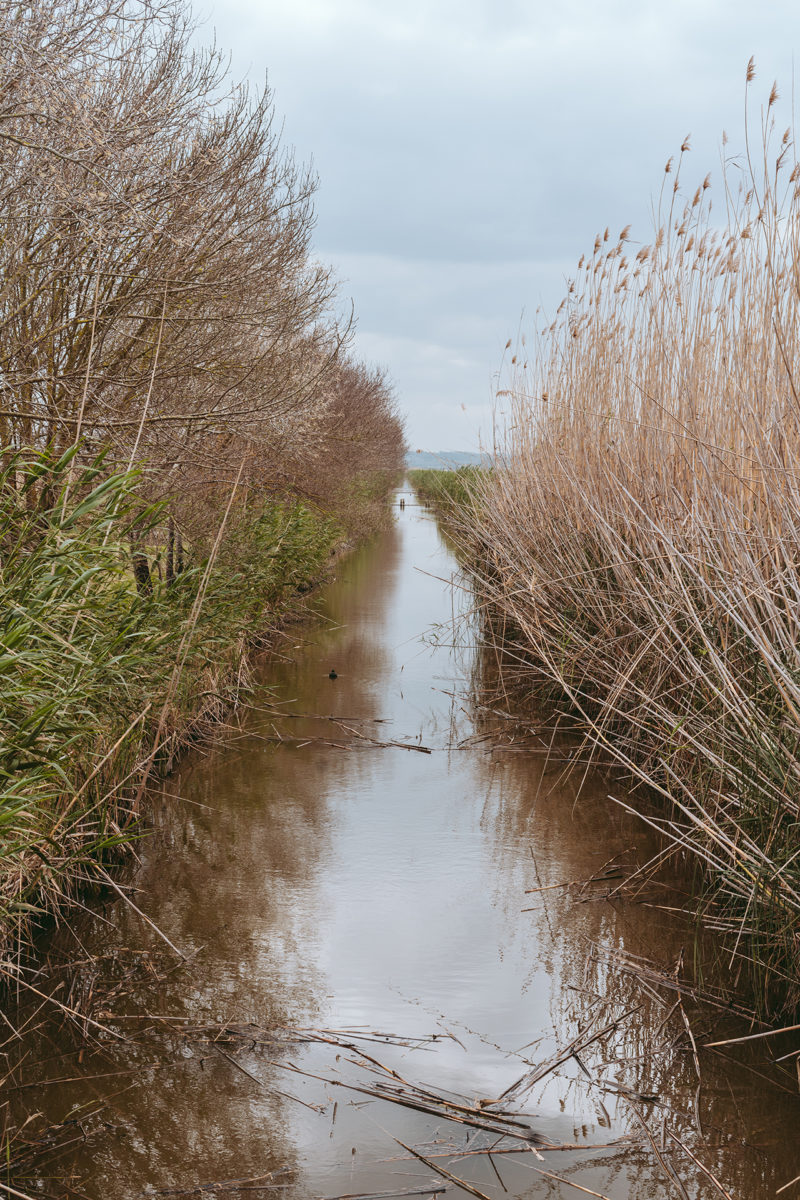 S’Albufera Natural Park