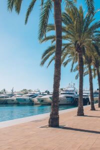 Property for sale in Puerto Portals